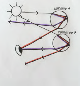 Student ray diagram for two raindrops and person seeing a rainbow.