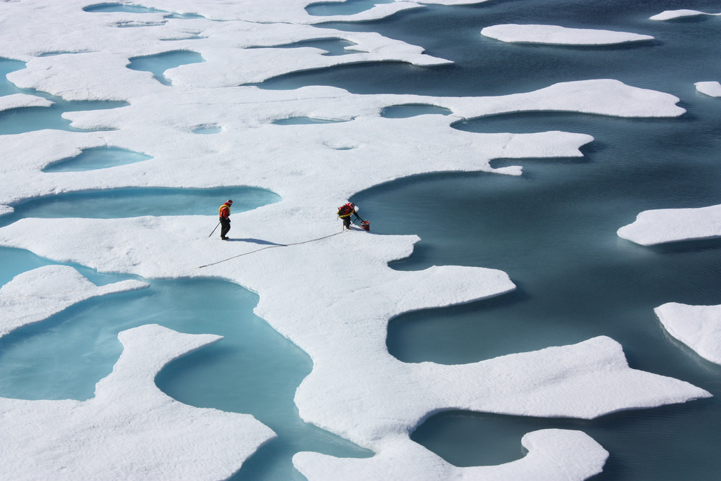 Melting sea ice during summer in the Artic.