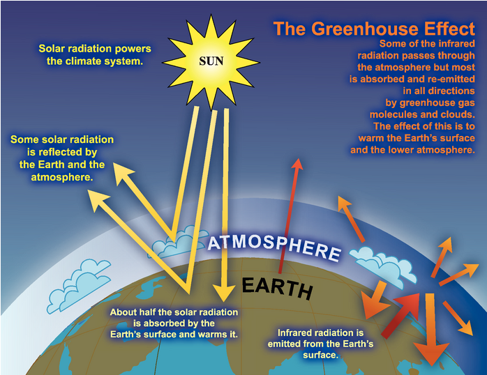 IPCC Diagram representing the greenhouse effect for the entire Earth