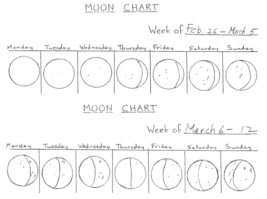Observations of the waxing crescent moon in Seattle.
