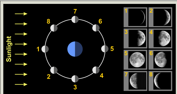 Moon orbit from above the solar system with adjacent table showing phases on Earth.