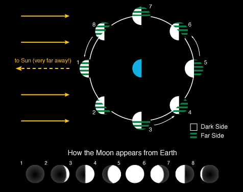 View of phases of the moon from Earth and from above the solar system that illustrates how much of the lit side of the Moon can be seen from Earth.