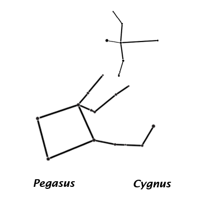 The constellations Pegasus, the flying horse, and Cygnus, the swan, associated with Greek and Roman mythology.