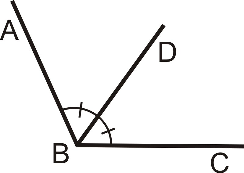 Educatina - Construcción de ángulos congruentes