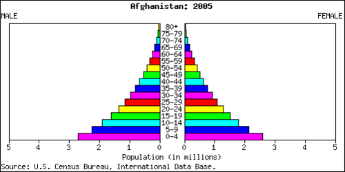 3553678-1522197207-31-3-Afghanistan_population_pyramid_2005.png