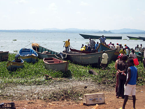 3553678-1528675249-95-32-Ugandan_fishing_boats.jpg