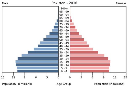 3553678-1528912007-85-85-population-pyramid-pakistan.jpg