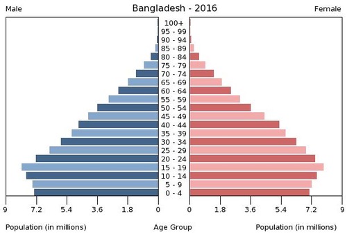 3553678-1528908011-17-14-population-pyramid-bangladash.jpg