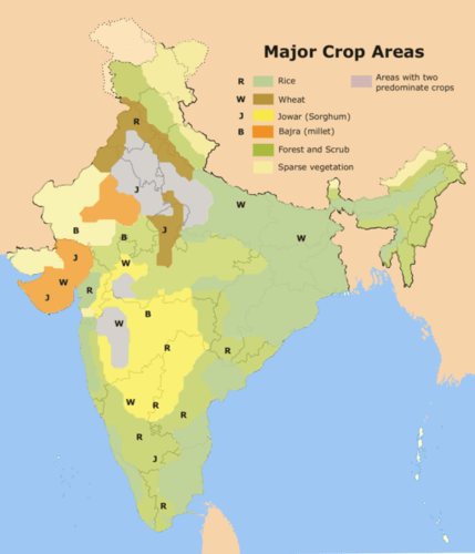 3553678-1528922352-33-57-512px-Major_crop_areas_India.png